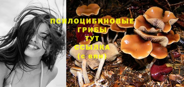 MESCALINE Кодинск