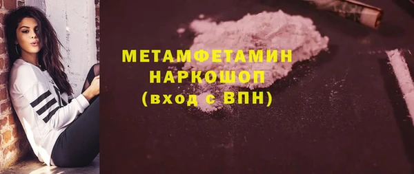 прущие грибы Козельск