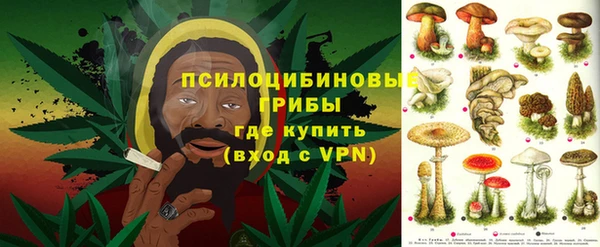 прущий лед Козловка