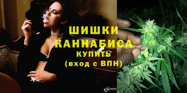 прущие грибы Козельск