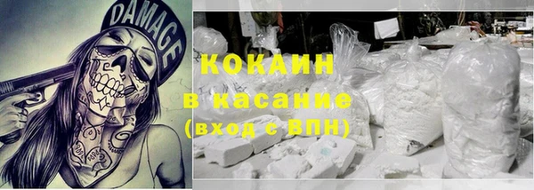 прущие грибы Козельск