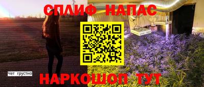 бошки Краснознаменск