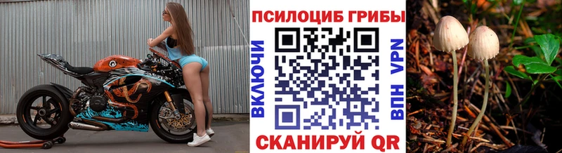 МЕГА ссылки  Морозовск  Галлюциногенные грибы Magic Shrooms  как найти закладки 