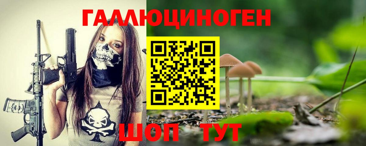Галлюциногенные грибы Psilocybine cubensis Морозовск
