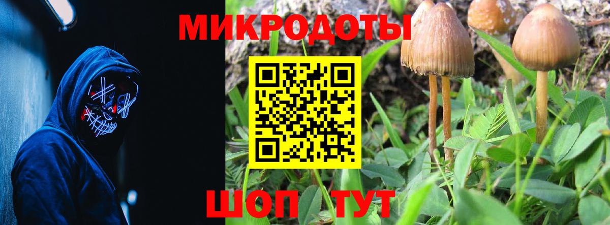 Морозовск  закладки  Вход с VPN  Галлюциногенные грибы ЛСД 